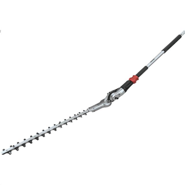 Where to find POLE HEDGE TRIMMER GAS or 36V POWER HEAD in Hollister